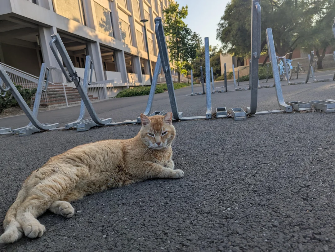 Photogenic Cheeto