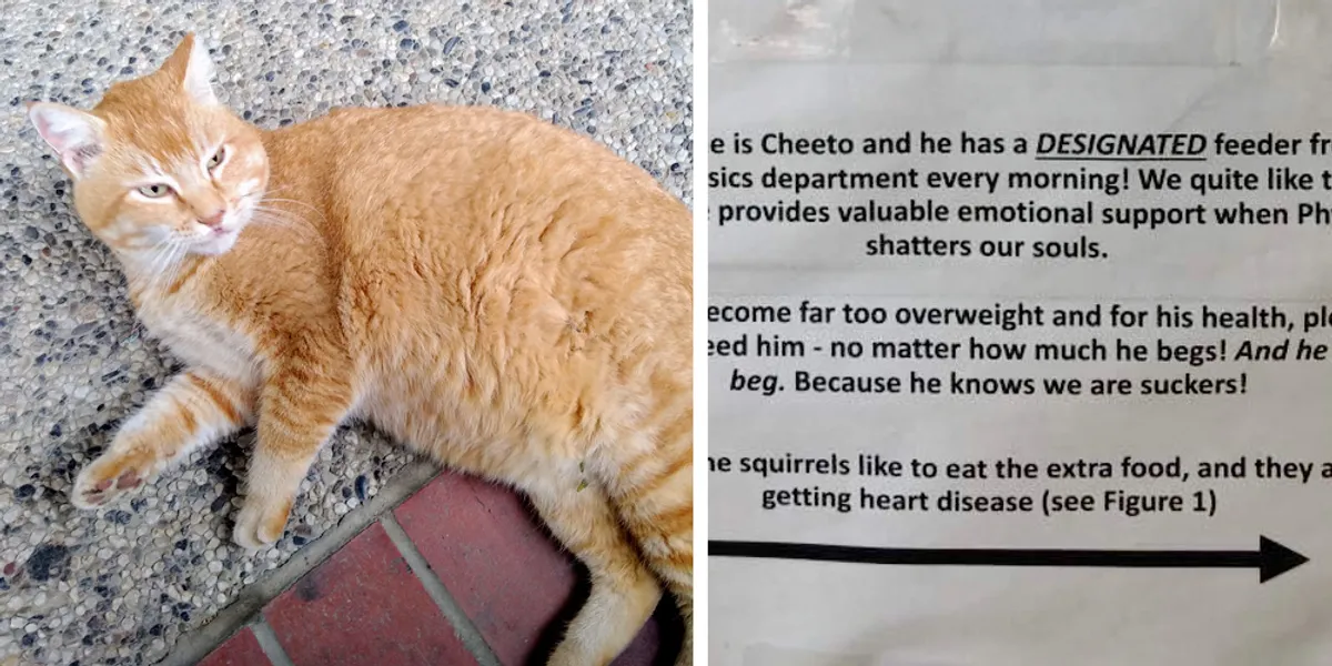 Chunky Cheeto